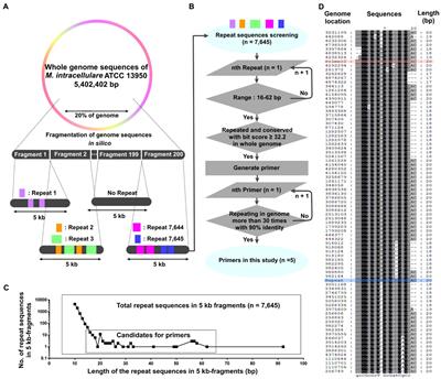 A novel repeat sequence-based PCR (rep-PCR) using specific repeat sequences of Mycobacterium intracellulare as a DNA fingerprinting